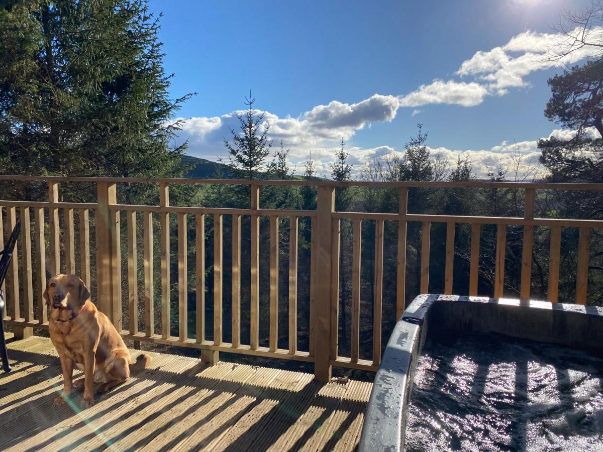 Acorn Lodge With Hot Tub Cupar Exterior photo